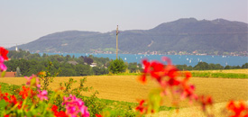 Gruppenhotel ALPENBLICK Attersee